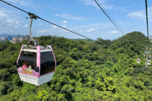 MaoKong 3