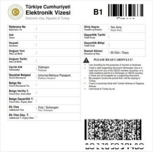 visa TNK